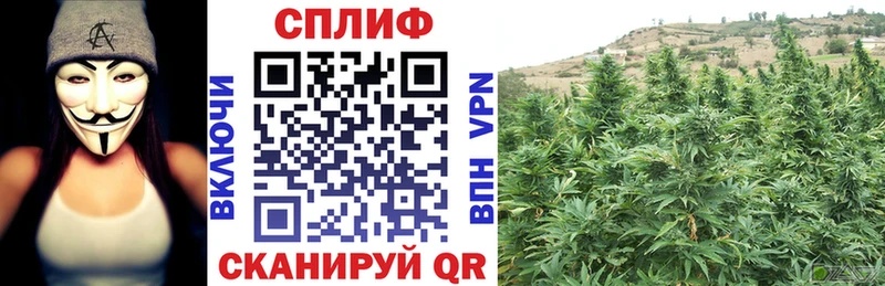 APVP Надым