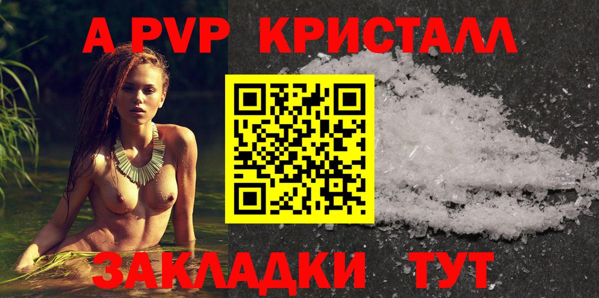Альфа ПВП СК КРИС Надым