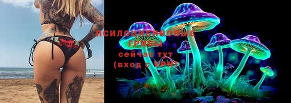 герыч Лагань