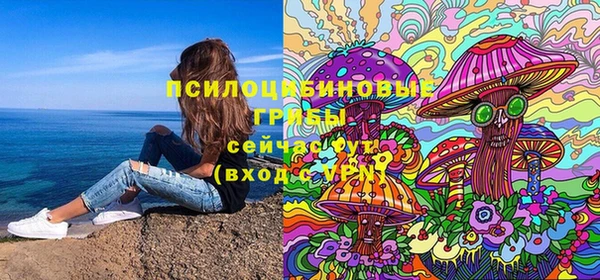ешки Ладушкин