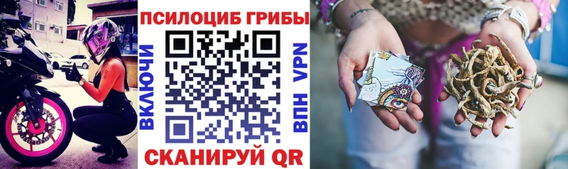 Галлюциногенные грибы ЛСД  гидра ссылки  Надым 